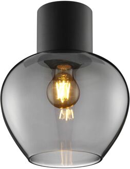 Brilliant Plafondlamp Ligari - Zwart - Rookglas - D23cm - E27