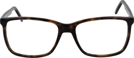 Brilmontuur 4513 B 57 - maat Bruin