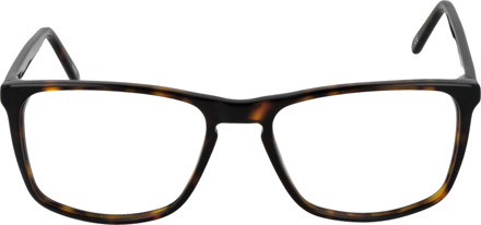 Brilmontuur 4533 B 53 - maat Bruin