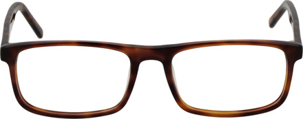 Brilmontuur B4138 D 51 Bruin - One Size