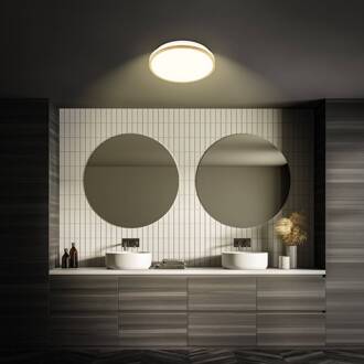 Briloner LED plafondlamp Acorus, Ø 28 cm, wit/houtkleur, IP44 hout licht, wit