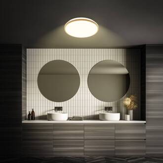 Briloner LED plafondlamp Acorus, Ø 33 cm, wit/houtkleurig, IP44 hout licht, wit