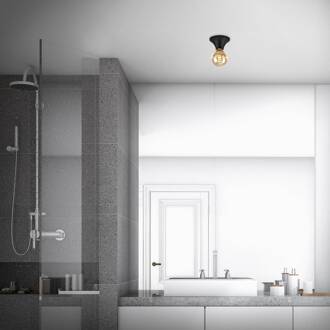 Briloner Plafondlamp Tepel voor de badkamer IP44 E27 zwart
