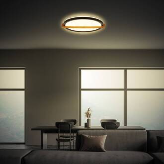 Briloner Remsa plafondlamp, Ø 30 cm, kunststof, zwart zwart, licht hout