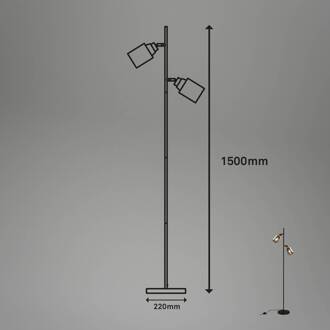 Briloner Vloerlamp 1486025 2-lamps, kappen rookglas zwart, rookgrijs