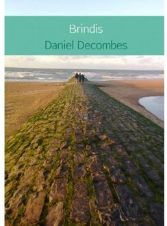 Brindis - Boek Daniel Decombes (9462541728)