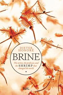 Brine -  Dieter Honoré (ISBN: 9789493428003)