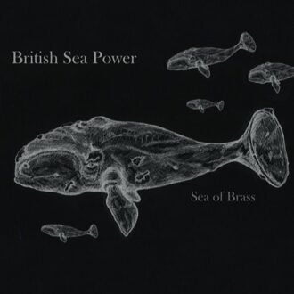 British Sea Power - Sea Of Brass