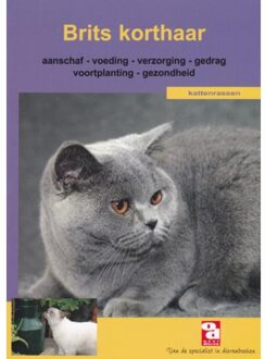 Britse korthaar - Boek Welzo Media Prod. bv (9058212394)