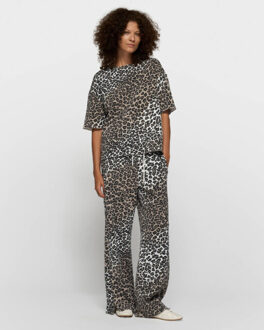 Broek 20-013-6201 - maat XL Bruin