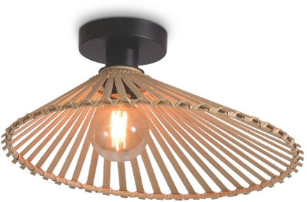 Bromo Plafonnière - S Bruin