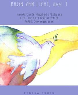 Bron van licht / 1 - Boek Debora Groen (9402112588)