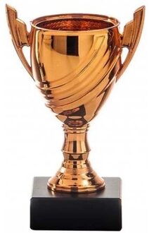 Bronzen trofee beker derde prijs 13 cm