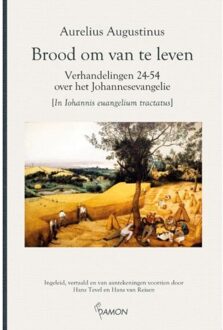 Brood om van te leven - Boek Aurelius Augustinus (9463401016)