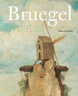 Bruegel in detail - Boek Manfred Sellink (9491819178)