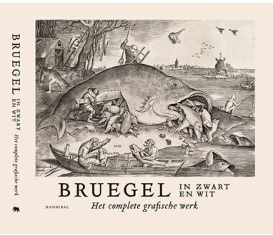 Bruegel In Zwart En Wit - (ISBN:9789463887182)