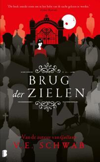Brug der zielen -  V.E. Schwab (ISBN: 9789402323696)