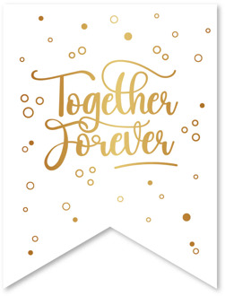 Bruiloft Banner Together Forever 6m Wit - Transparant