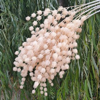 Bruiloft Decoratie Plastic Simulatie Minnaar Fruit Nep Bloem Thuis Hotel Decoratie Bloem Pastorale Stijl champagne