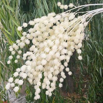 Bruiloft Decoratie Plastic Simulatie Minnaar Fruit Nep Bloem Thuis Hotel Decoratie Bloem Pastorale Stijl geel