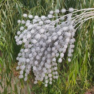 Bruiloft Decoratie Plastic Simulatie Minnaar Fruit Nep Bloem Thuis Hotel Decoratie Bloem Pastorale Stijl Lover fruit grijs