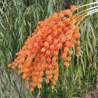 Bruiloft Decoratie Plastic Simulatie Minnaar Fruit Nep Bloem Thuis Hotel Decoratie Bloem Pastorale Stijl Lover fruit oranje