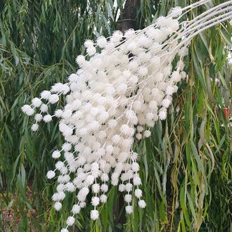 Bruiloft Decoratie Plastic Simulatie Minnaar Fruit Nep Bloem Thuis Hotel Decoratie Bloem Pastorale Stijl wit