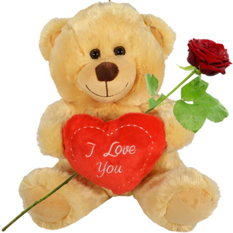 Bruine knuffelbeer 30cm met rood I love you hart