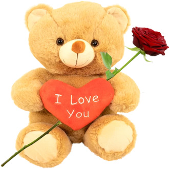 Bruine knuffelbeer ca. 30cm met rood I love you hart