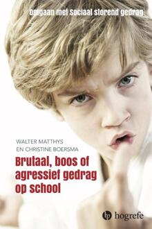 Brutaal, boos en agressief gedrag op school - Boek Walter Matthys (9492297248)