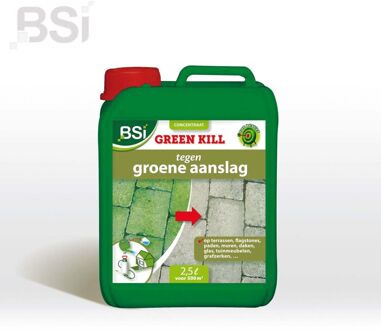 BSI Green Kill 40 concentraat - Algenbestrijding - 2,5 Liter
