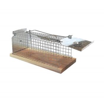 BSI Vangkooi voor muizen