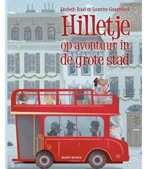 Buddy Books Hilletje - Liesbeth Rood