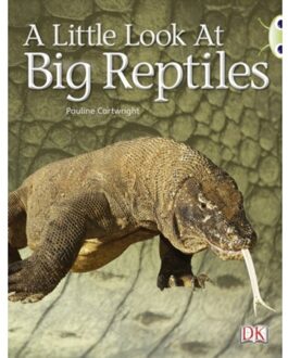 Bug Club Guided Non Fiction Year 1 Blue B A Little Look At Big Reptiles - Bug Club - Pauline Cartwright
