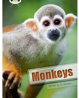 Bug Club Guided Non Fiction Year 3 White A Monkeys - Bug Club - Jo Windsor