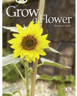 Bug Club Independent Non Fiction Reception Red C Grow A Flower - Bug Club - Margaret Clyne