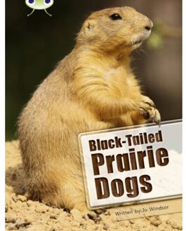 Bug Club Independent Non Fiction Year Two White B Black-Tailed Prairie Dogs - Bug Club - Jo Windsor