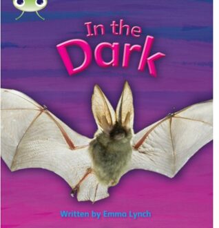 Bug Club Phonics - Phase 3 Unit 10: In The Dark - Bug Club Phonics - Emma Lynch