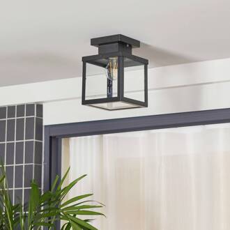 buiten plafondlamp Mandus, zwart, roestvrij staal, 22 cm zwart, transparant