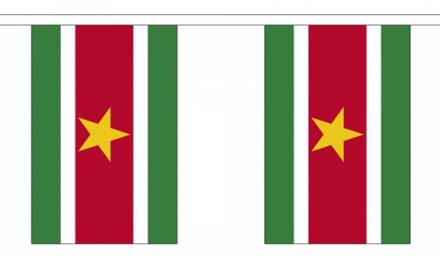 Buiten vlaggenlijn Suriname 3 meter Multi