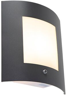 Buiten wandlamp antraciet IP44 schemersensor - Emmerald Grijs, Wit