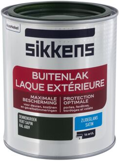 Buitenlak - Zijdeglans - RAL 6009 - 750 ml