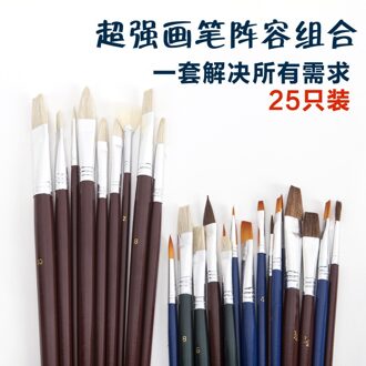 Buitenlandse verkoop van 25 sets van sets van borstels acryl pen olieverf pen haak lijn pen