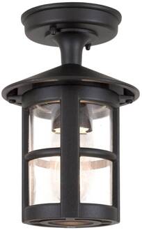 Buitenplafondlamp Hereford zwart, helder