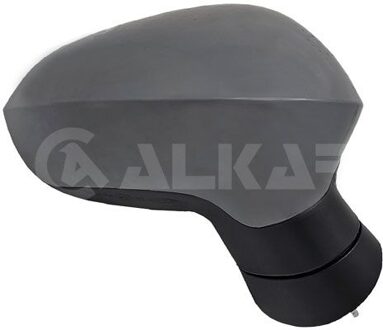 Buitenspiegel rechts volledig 6130803