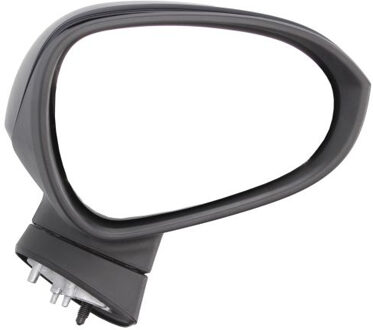 Buitenspiegel SV10481