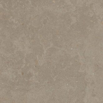 Buitentegels Limerock Betonlook Gerectificeerd 60x60x2 cm Taupe - Buitentegels Limerock Betonlook Gerectificeerd 60x60x2 cm Taupe (prijs Per