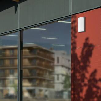 Buitenwandlamp 039 met bewegingsmelder, grafiet opaal, grafiet