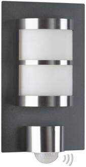 Buitenwandlamp Adonia met bewegingssensor antraciet, wit, zilver