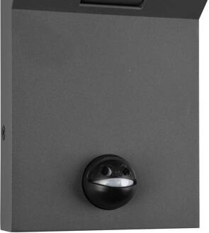 Buitenwandlamp Adour, antraciet, sensor, kantelbaar, CCT